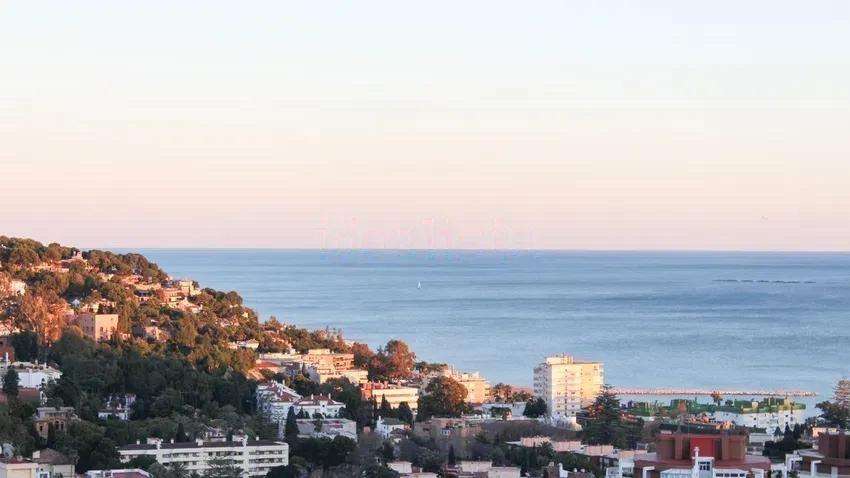 Pareado - Málaga